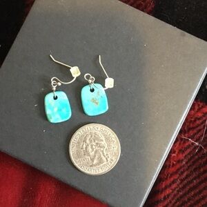 Turquoise Dangle Earrings